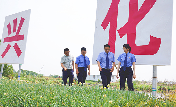 仲夏巡查忙 兴化市熟女探花
走上垛田守护“梦里水乡”