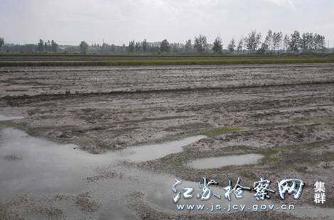 04-对受损农田采取中和排灌的方式,多次进行土壤改良.jpg